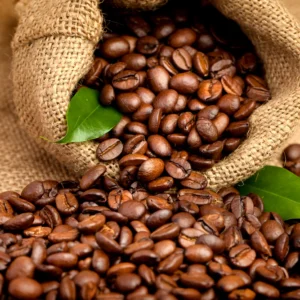 Arabica